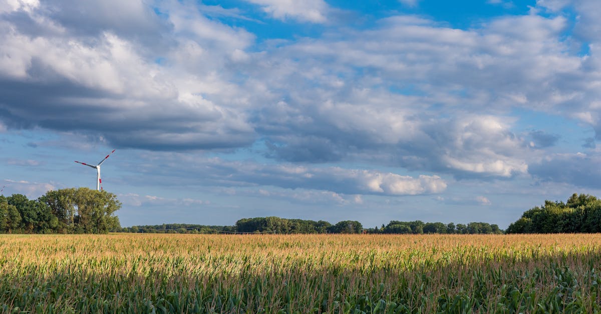 D&eacute;couvrez qui sont les r&eacute;fugi&eacute;s climatiques, les causes de leur d&eacute;placement et les d&eacute;fis auxquels ils font face. informez-vous sur l&rsquo;impact du changement climatique sur les populations vuln&eacute;rables.