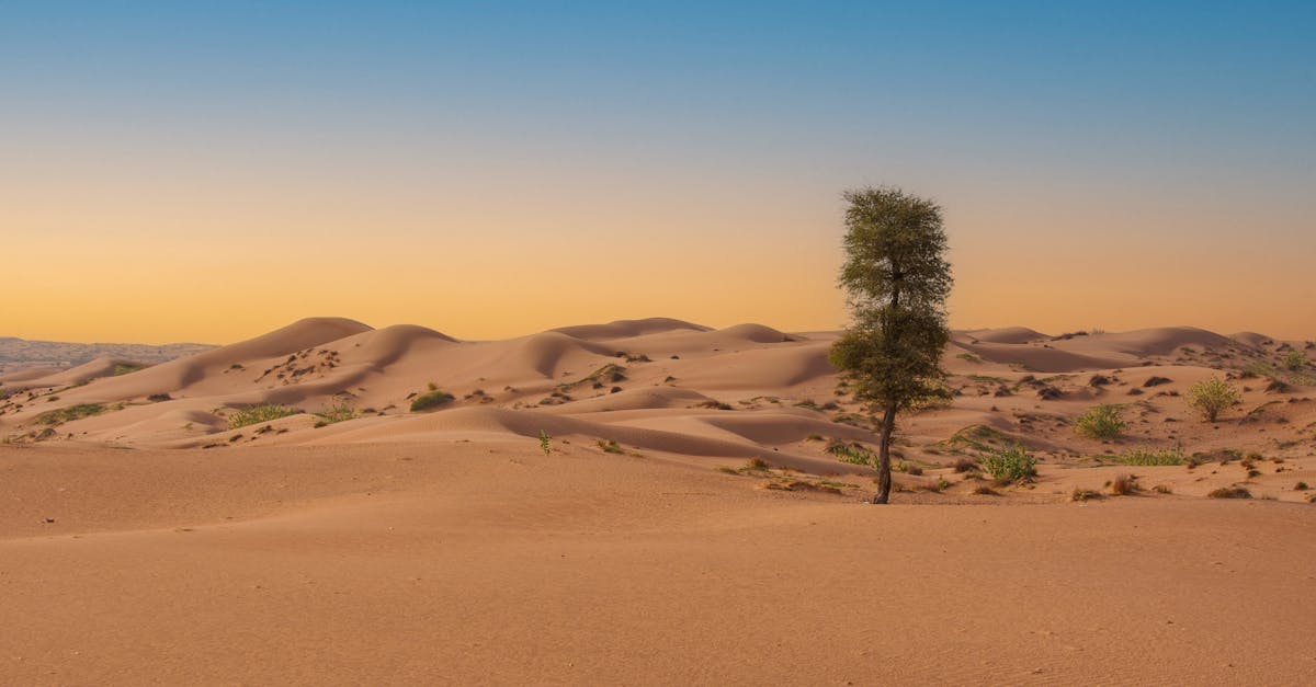 D&eacute;couvrez qui sont les r&eacute;fugi&eacute;s climatiques, les causes de leur d&eacute;placement, et les enjeux mondiaux li&eacute;s &agrave; ce ph&eacute;nom&egrave;ne croissant provoqu&eacute; par le changement climatique.