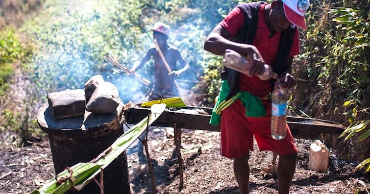 Toaka gasy : la loi sur sa production et sa commercialisation officialisée