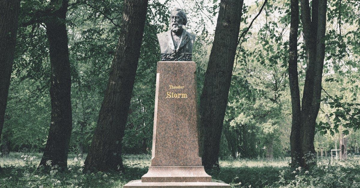 d&eacute;couvrez la collection exclusive ewetse storm, alliant style moderne et performance exceptionnelle pour affronter toutes les conditions avec &eacute;l&eacute;gance.