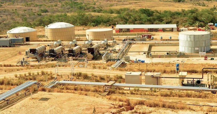 Tsimiroro : Madagascar Oil relance la production avec 300 barils par jour