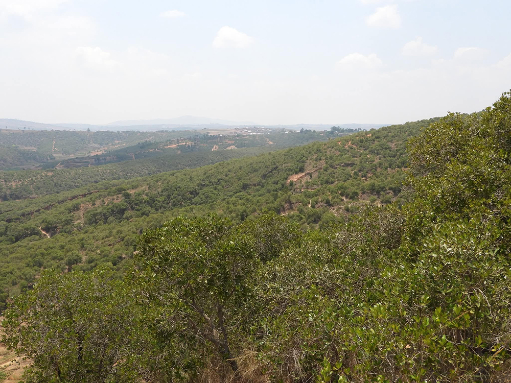 ENVIRONNEMENT – La Ala Tapia d’Itasy parmi les aires protégées
